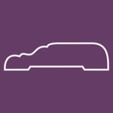 Durvju apmale 13x65x2400 krāsota