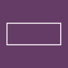 Brusa audzēta 20x45x2400 (kantaina)