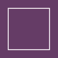 Brusa audzēta 45x45x2400