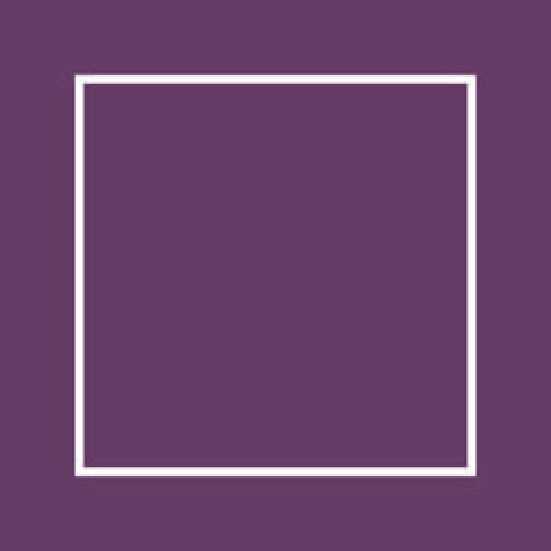 Brusa audzēta 45x45x2400